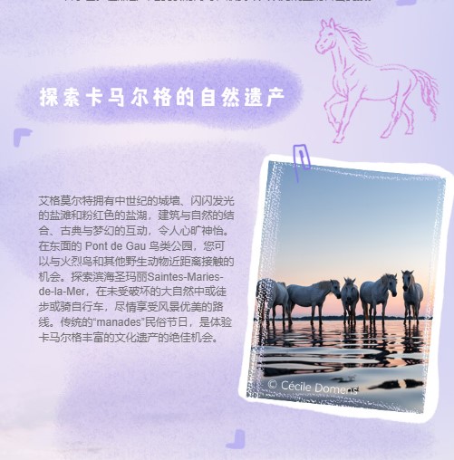CHINE